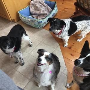 Meet your Posher, Marilyn